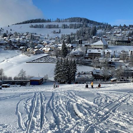 Haus Am Sonnenberg,Todtnauberg, Ferienwohnung 002, Direkt Am Skilift-Skipiste, Naehe Feldberg Exterior photo