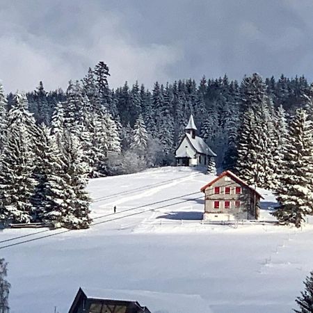 Haus Am Sonnenberg,Todtnauberg, Ferienwohnung 002, Direkt Am Skilift-Skipiste, Naehe Feldberg Exterior photo