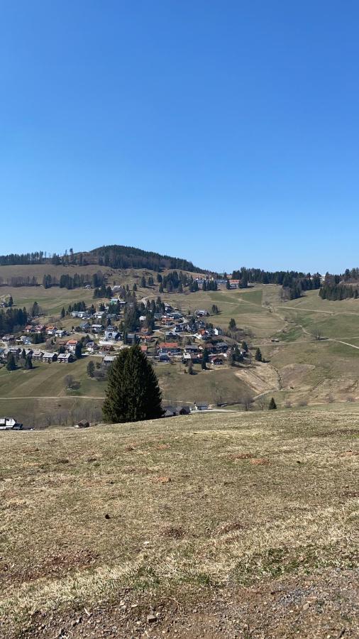 Haus Am Sonnenberg,Todtnauberg, Ferienwohnung 002, Direkt Am Skilift-Skipiste, Naehe Feldberg Exterior photo