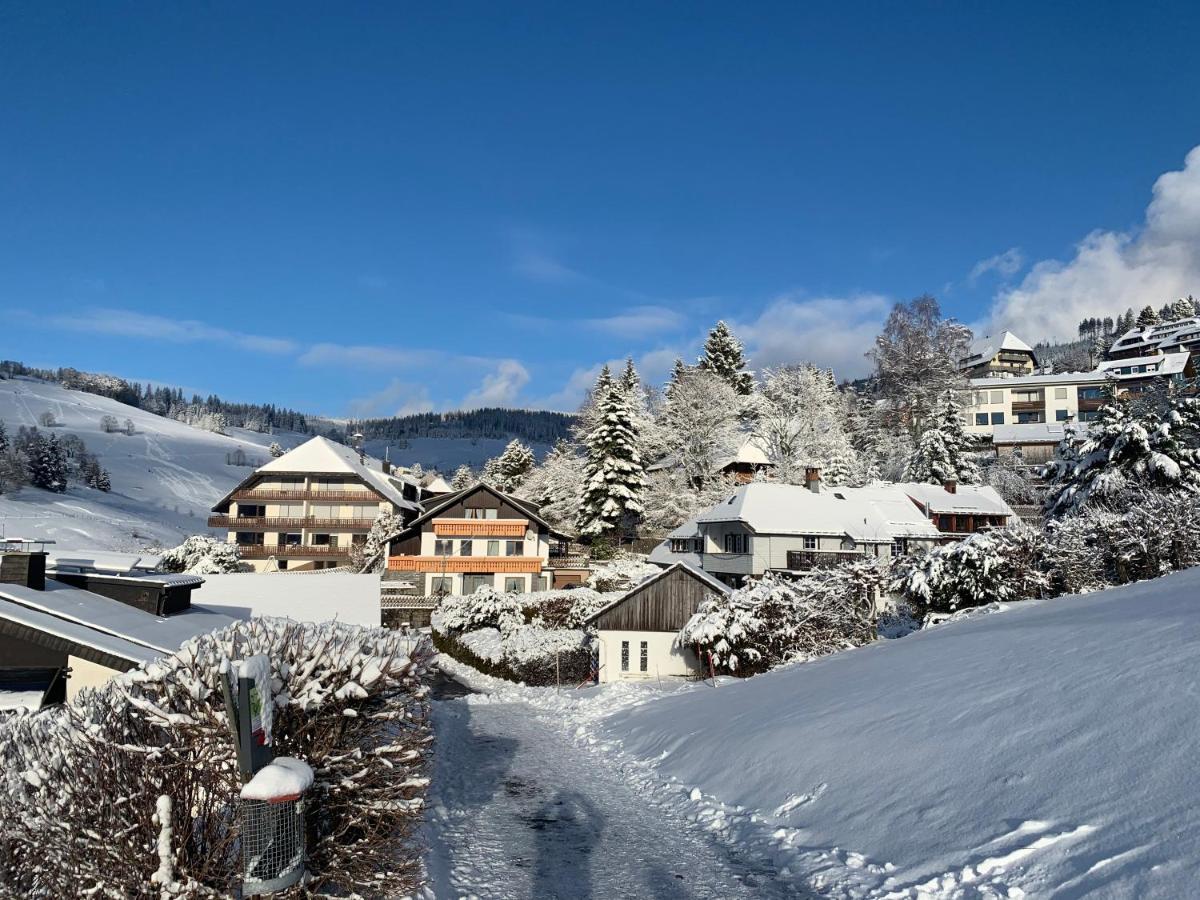 Haus Am Sonnenberg,Todtnauberg, Ferienwohnung 002, Direkt Am Skilift-Skipiste, Naehe Feldberg Exterior photo